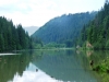 gyilkosto13